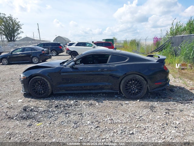 1FA6P8CF1P5303022 Ford Mustang Gt Premium