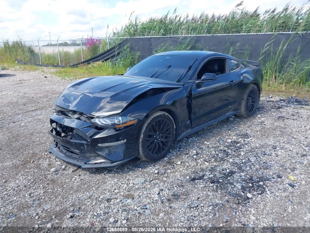 1FA6P8CF1P5303022 Ford Mustang Gt Premium