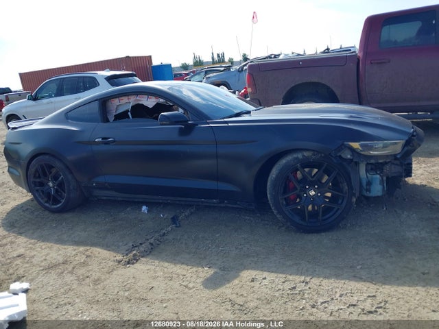 Ford MUSTANG GT 2016 1FA6P8CF9G5297096 Image 13