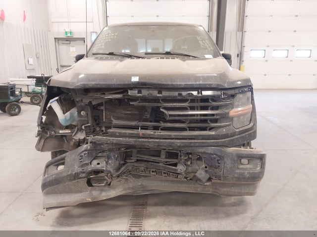 Продажа на аукционе авто 2024 Ford F150 Xlt, vin: 1FTFW3L84RFA60353, номер лота: 12681064