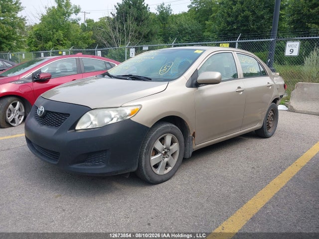 Продаж на аукціоні авто 2009 Toyota Corolla Ce, vin: 2T1BU40E39C170081, номер лоту: 12673854