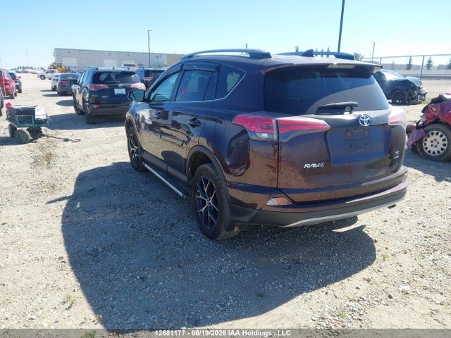 Toyota RAV4 SE 2017 2T3JFREV0HW664981 Image 3