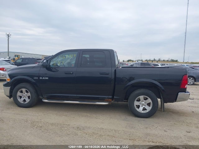 12681189 :رقم المزاد ، 1D7RV1CT0AS243307 vin ، 2010 Dodge Ram 1500 مزاد بيع