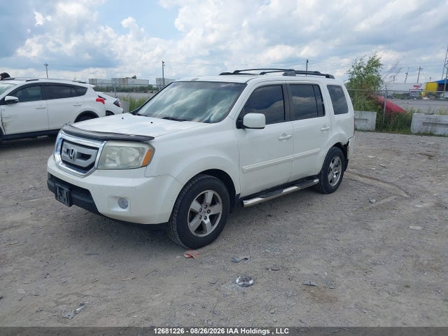 2011 Honda Pilot Ex-l მანქანა იყიდება აუქციონზე, vin: 5FNYF4H58BB506818, აუქციონის ნომერი: 12681226