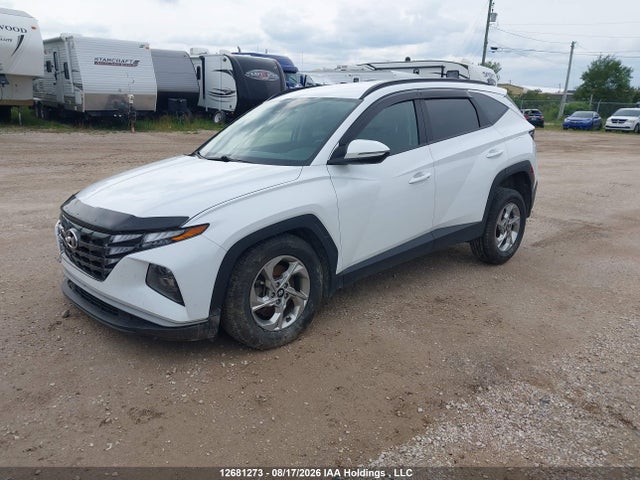 Hyundai TUCSON SEL 2023 KM8JBCAE9PU240141 Image 2