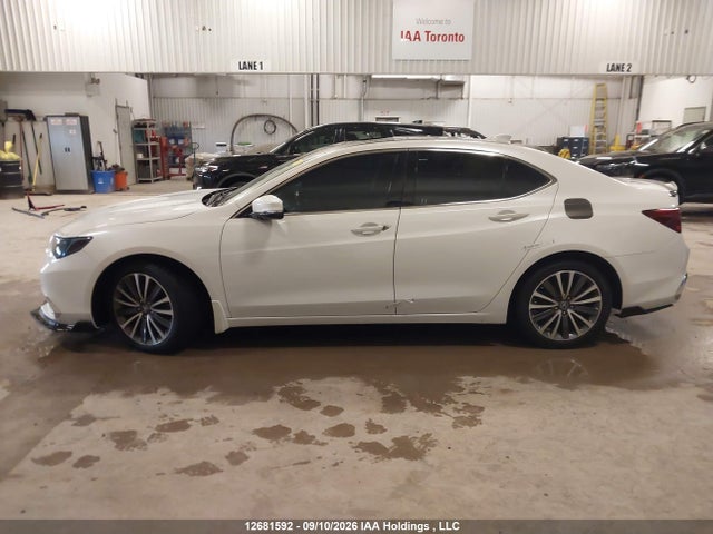 Продаж на аукціоні авто 2020 Acura Tlx Tech, vin: 19UUB3F54LA801711, номер лоту: 12681592