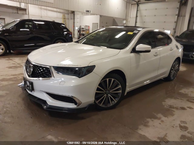 Продаж на аукціоні авто 2020 Acura Tlx Tech, vin: 19UUB3F54LA801711, номер лоту: 12681592
