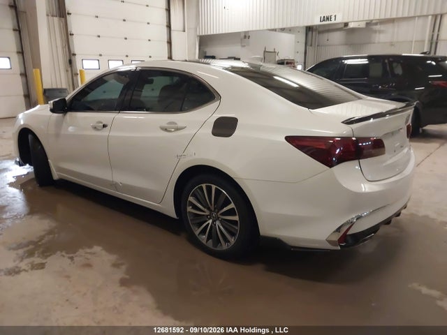Продаж на аукціоні авто 2020 Acura Tlx Tech, vin: 19UUB3F54LA801711, номер лоту: 12681592