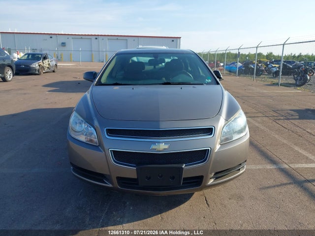 2011 Chevrolet Malibu Ls მანქანა იყიდება აუქციონზე, vin: 1G1ZB5EU2BF119493, აუქციონის ნომერი: 12661310