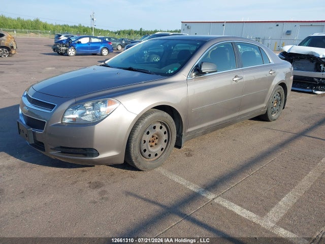 2011 Chevrolet Malibu Ls მანქანა იყიდება აუქციონზე, vin: 1G1ZB5EU2BF119493, აუქციონის ნომერი: 12661310