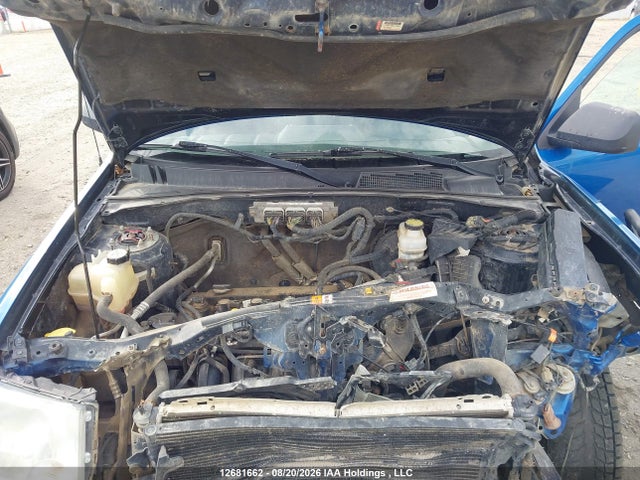 2011 Ford Escape Xlt Automatic მანქანა იყიდება აუქციონზე, vin: 1FMCU0D74BKA64408, აუქციონის ნომერი: 12681662