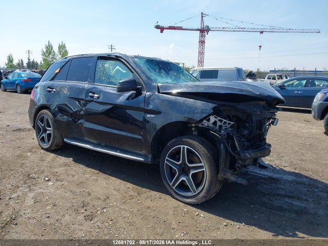 Mercedes-Benz Amg Gle 43 4matic 2017 4JGDA6EB0HA960304 главное изображение