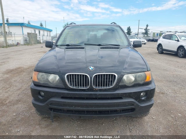Продаж на аукціоні авто 2003 Bmw X5 3.0i, vin: 5UXFA53573LV92770, номер лоту: 12681742