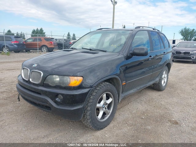 Продаж на аукціоні авто 2003 Bmw X5 3.0i, vin: 5UXFA53573LV92770, номер лоту: 12681742