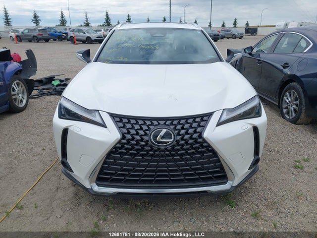 2025 Lexus Ux 300h მანქანა იყიდება აუქციონზე, vin: JTHUCJDH1S2004904, აუქციონის ნომერი: 12681781