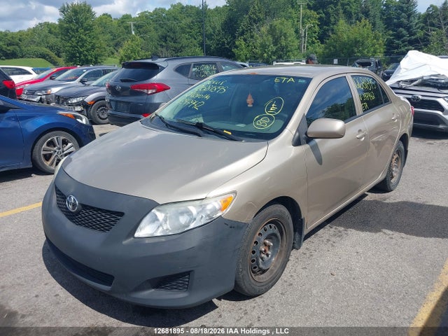 2010 Toyota Corolla მანქანა იყიდება აუქციონზე, vin: 2T1BU4EE6AC397942, აუქციონის ნომერი: 12681895