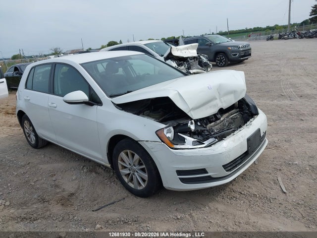 3VW217AU7FM053166 auction archive image