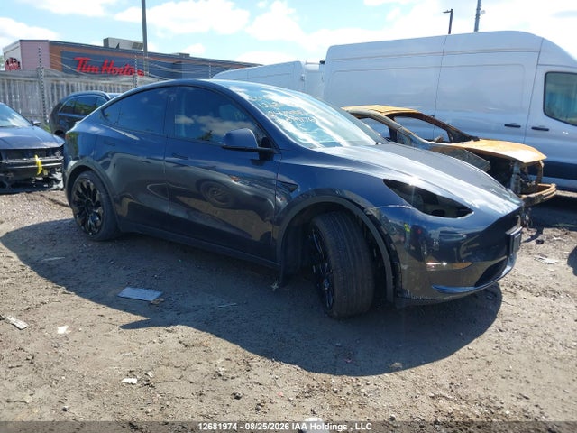 Продажа на аукционе авто 2024 Tesla Model Y Long Range/rwd, vin: 7SAYGDED8RF079176, номер лота: 12681974
