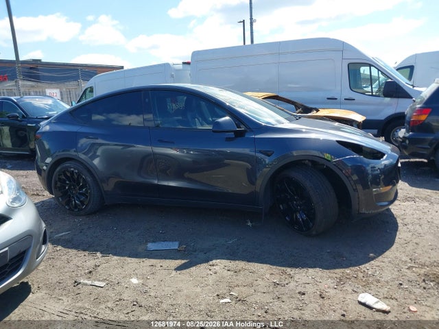 Продажа на аукционе авто 2024 Tesla Model Y Long Range/rwd, vin: 7SAYGDED8RF079176, номер лота: 12681974