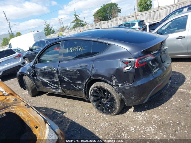 Продажа на аукционе авто 2024 Tesla Model Y Long Range/rwd, vin: 7SAYGDED8RF079176, номер лота: 12681974