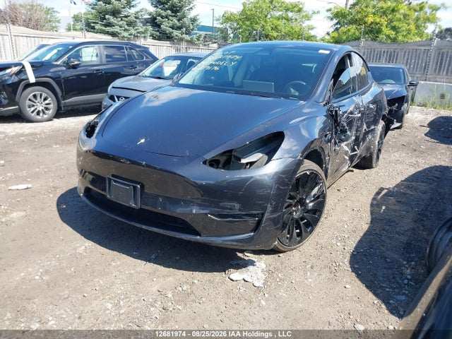 Продажа на аукционе авто 2024 Tesla Model Y Long Range/rwd, vin: 7SAYGDED8RF079176, номер лота: 12681974
