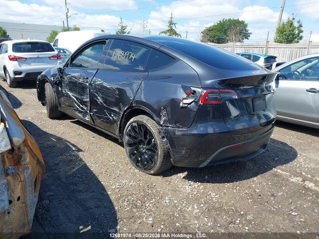 Продажа на аукционе авто 2024 Tesla Model Y Long Range/rwd, vin: 7SAYGDED8RF079176, номер лота: 12681974