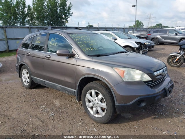 Продаж на аукціоні авто 2009 Honda Cr-v Ex-l, vin: 5J6RE487X9L812851, номер лоту: 12682097
