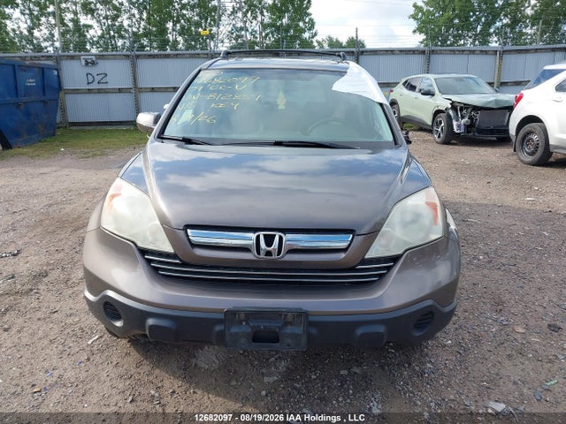 Продаж на аукціоні авто 2009 Honda Cr-v Ex-l, vin: 5J6RE487X9L812851, номер лоту: 12682097