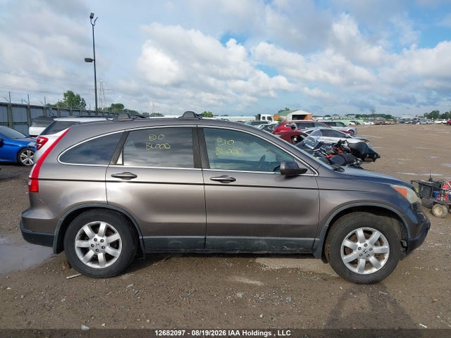 Продаж на аукціоні авто 2009 Honda Cr-v Ex-l, vin: 5J6RE487X9L812851, номер лоту: 12682097