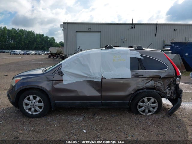 Продаж на аукціоні авто 2009 Honda Cr-v Ex-l, vin: 5J6RE487X9L812851, номер лоту: 12682097