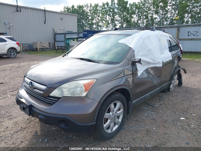 Продаж на аукціоні авто 2009 Honda Cr-v Ex-l, vin: 5J6RE487X9L812851, номер лоту: 12682097