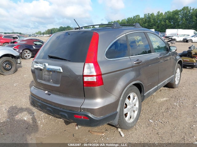 Продаж на аукціоні авто 2009 Honda Cr-v Ex-l, vin: 5J6RE487X9L812851, номер лоту: 12682097