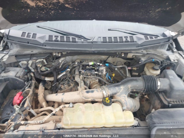 Продаж на аукціоні авто 2020 Ford F150 Supercrew, vin: 1FTEW1EPXLKE51882, номер лоту: 12682174