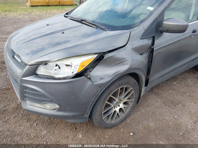 Ford ESCAPE SE 2014 1FMCU9G98EUD20687 Image 6