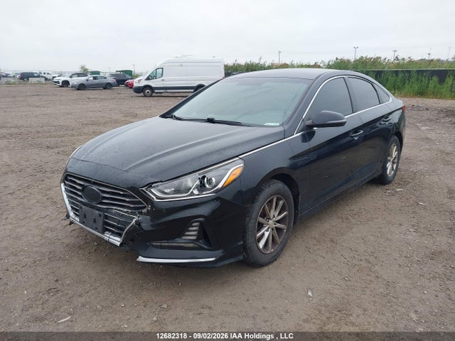 Auction sale of the 2019 Hyundai Sonata Essential, vin: 5NPE24AF0KH769372, lot number: 12682318