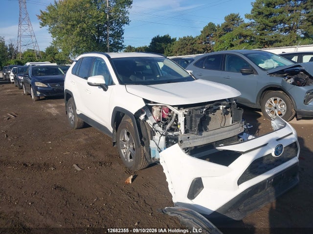 2024 2T3BWRFV4RW230700 главное изображение