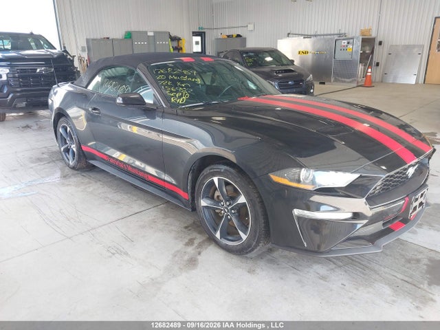 12682489 :رقم المزاد ، 1FATP8UH2L5156982 vin ، 2020 Ford Mustang مزاد بيع