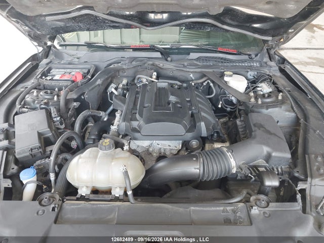 Продаж на аукціоні авто 2020 Ford Mustang, vin: 1FATP8UH2L5156982, номер лоту: 12682489