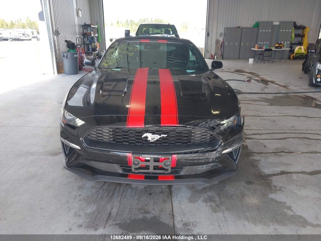 Продаж на аукціоні авто 2020 Ford Mustang, vin: 1FATP8UH2L5156982, номер лоту: 12682489