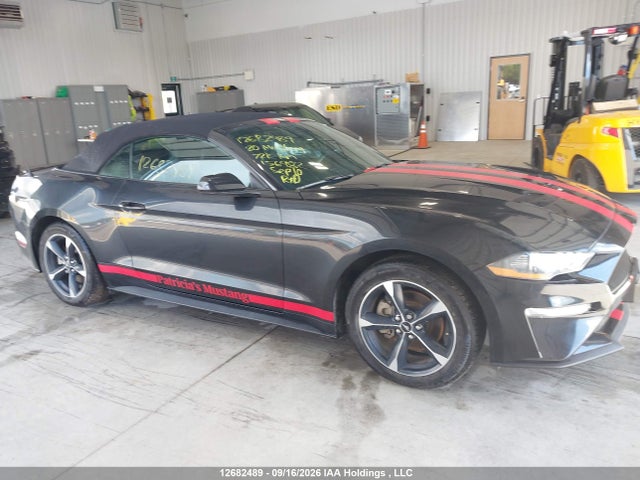 Продаж на аукціоні авто 2020 Ford Mustang, vin: 1FATP8UH2L5156982, номер лоту: 12682489