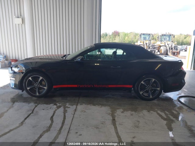 Продаж на аукціоні авто 2020 Ford Mustang, vin: 1FATP8UH2L5156982, номер лоту: 12682489