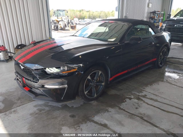 Продаж на аукціоні авто 2020 Ford Mustang, vin: 1FATP8UH2L5156982, номер лоту: 12682489