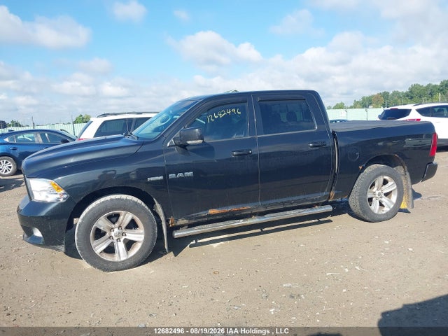 Продаж на аукціоні авто 2009 Dodge Ram 1500 Slt/sport, vin: 1D3HV13T79S825784, номер лоту: 12682496