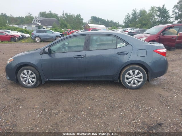 2T1BURHEXEC162037 Toyota Corolla L/le/le Pls/prm/s/s Pls