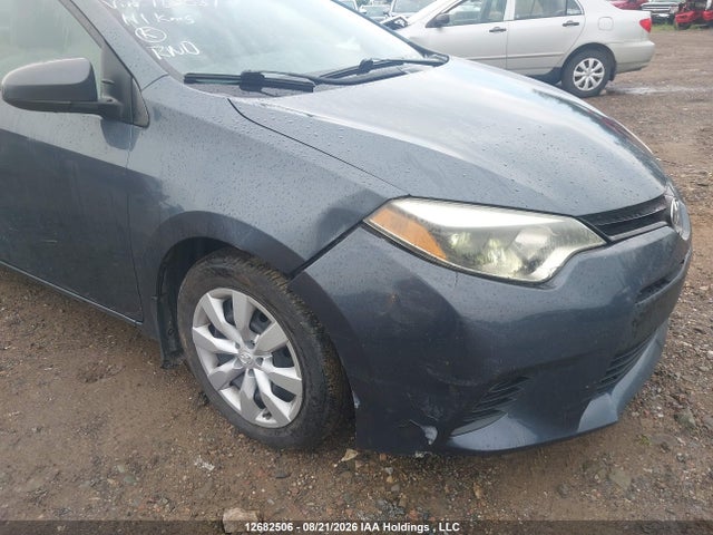 2T1BURHEXEC162037 Toyota Corolla L/le/le Pls/prm/s/s Pls