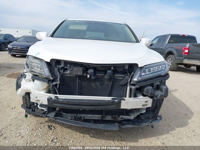 Acura Rdx Elite 2017 5J8TB4H76HL810177 Image 12