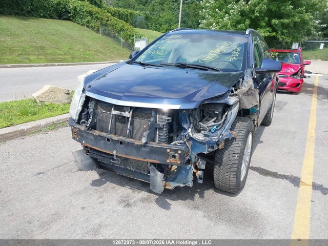 12672973 :رقم المزاد ، 3GYFNDEY0AS506420 vin ، 2010 Cadillac Srx Luxury Collection مزاد بيع