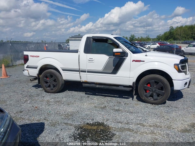1FTMF1ETXEFB12530 Ford F-150 Fx4