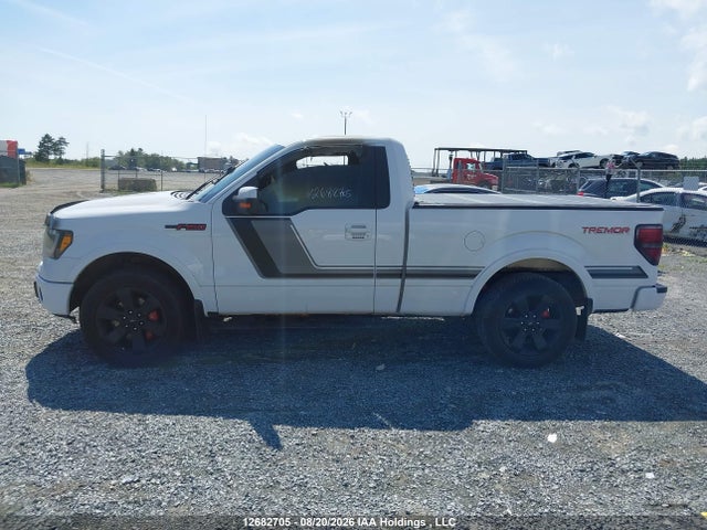 1FTMF1ETXEFB12530 Ford F-150 Fx4