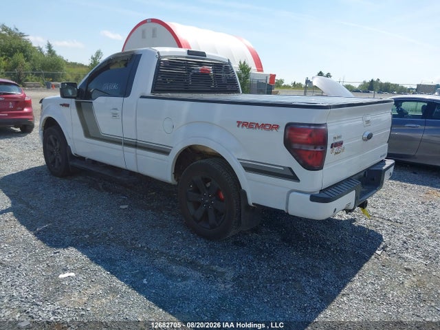 1FTMF1ETXEFB12530 Ford F-150 Fx4